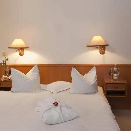 Hotell Parkfrieden 2*